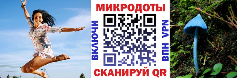 где найти наркотики Билибино Галлюциногенные грибы Cubensis