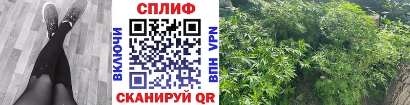 Конопля Ganja как найти наркотики Билибино